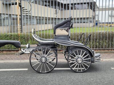 van veluw marathonwagen vierspan paard nieuw FEI van veluw marathonwagen vierspan paard nieuw FEI