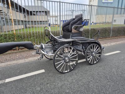 Veluw Putten marathonwagen vierspan paard nieuw FEI Veluw Putten marathonwagen vierspan paard nieuw FEI