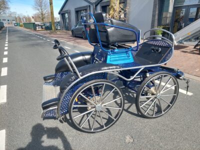 tweespan paard marathonwagen veluw putten gebruikt